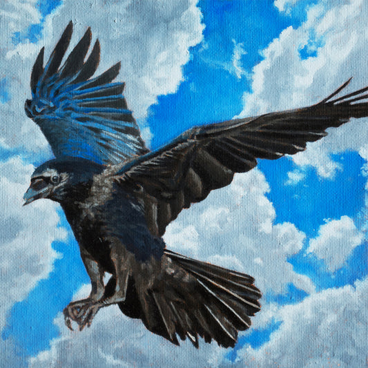 Crow in Flight - ORIGINAL OIL PAINTING