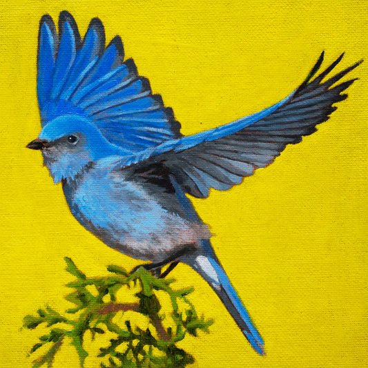 Flying Mountain Blue Bird - ORIGINAL OIL PAINTING