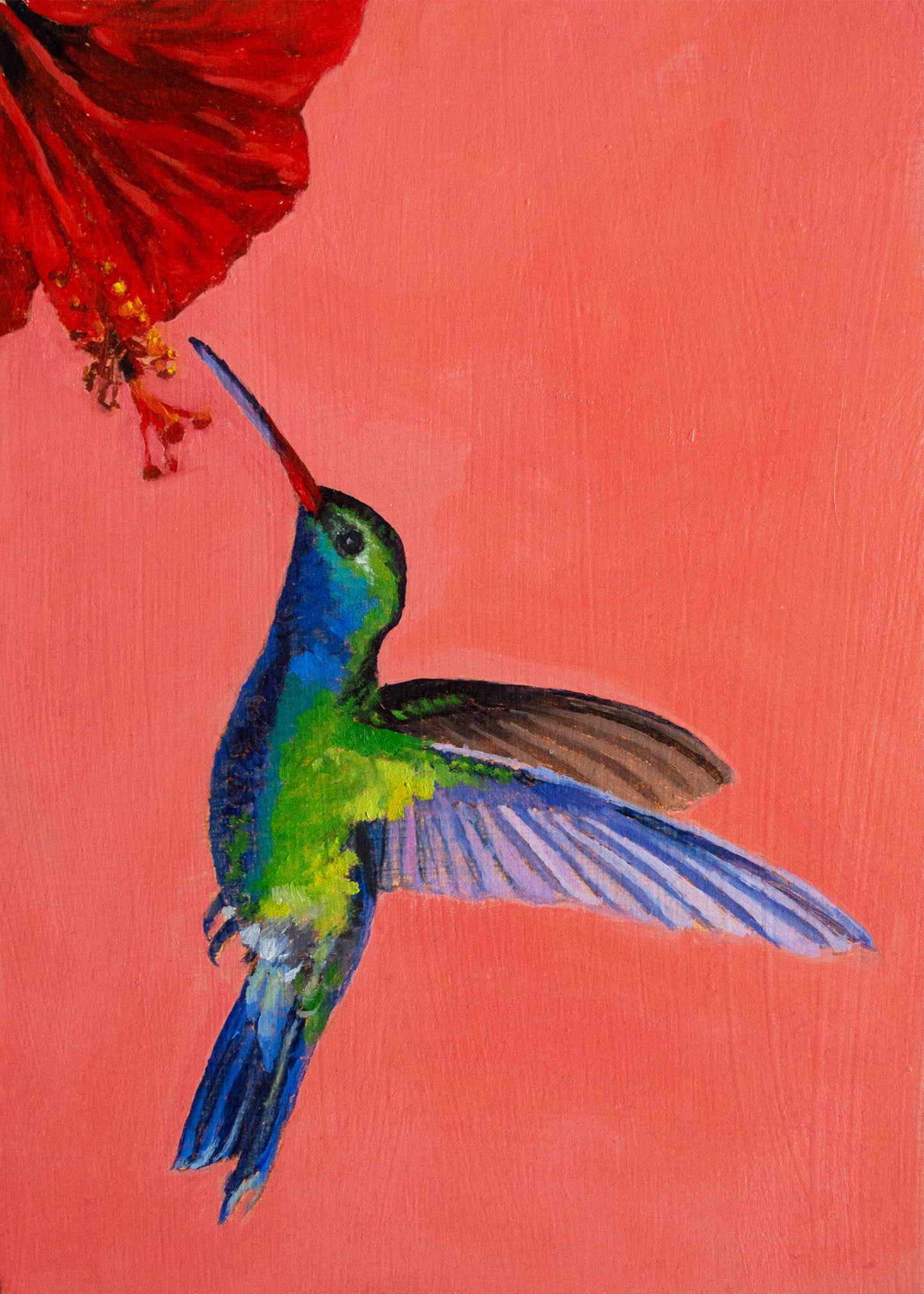 Humming Bird - ORIGINAL OIL PAINTING
